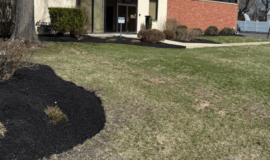 Landscaping